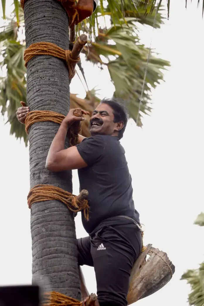 சீமான் அவர்கள் பனை மரம் ஏறி கள் இறக்கும் போராட்டம்!